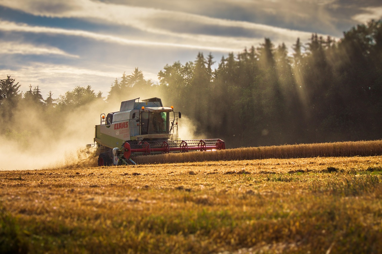 combine harvester wheat field